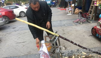 廣西糖廠食安事件折射產業短板 甘蔗清洗與空氣凈化設備研發亟待加強